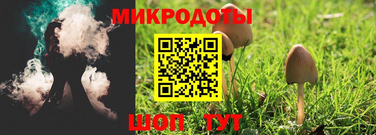 Псилоцибиновые грибы Psilocybine cubensis Среднеуральск