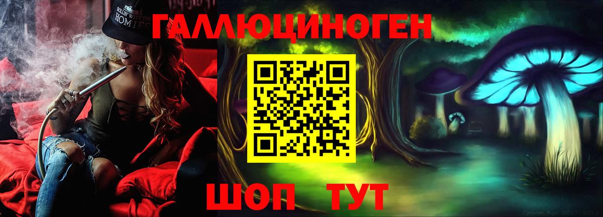 Среднеуральск  Псилоцибиновые грибы GOLDEN TEACHER  Вход с VPN  Псилоцибиновые грибы прущие грибы 